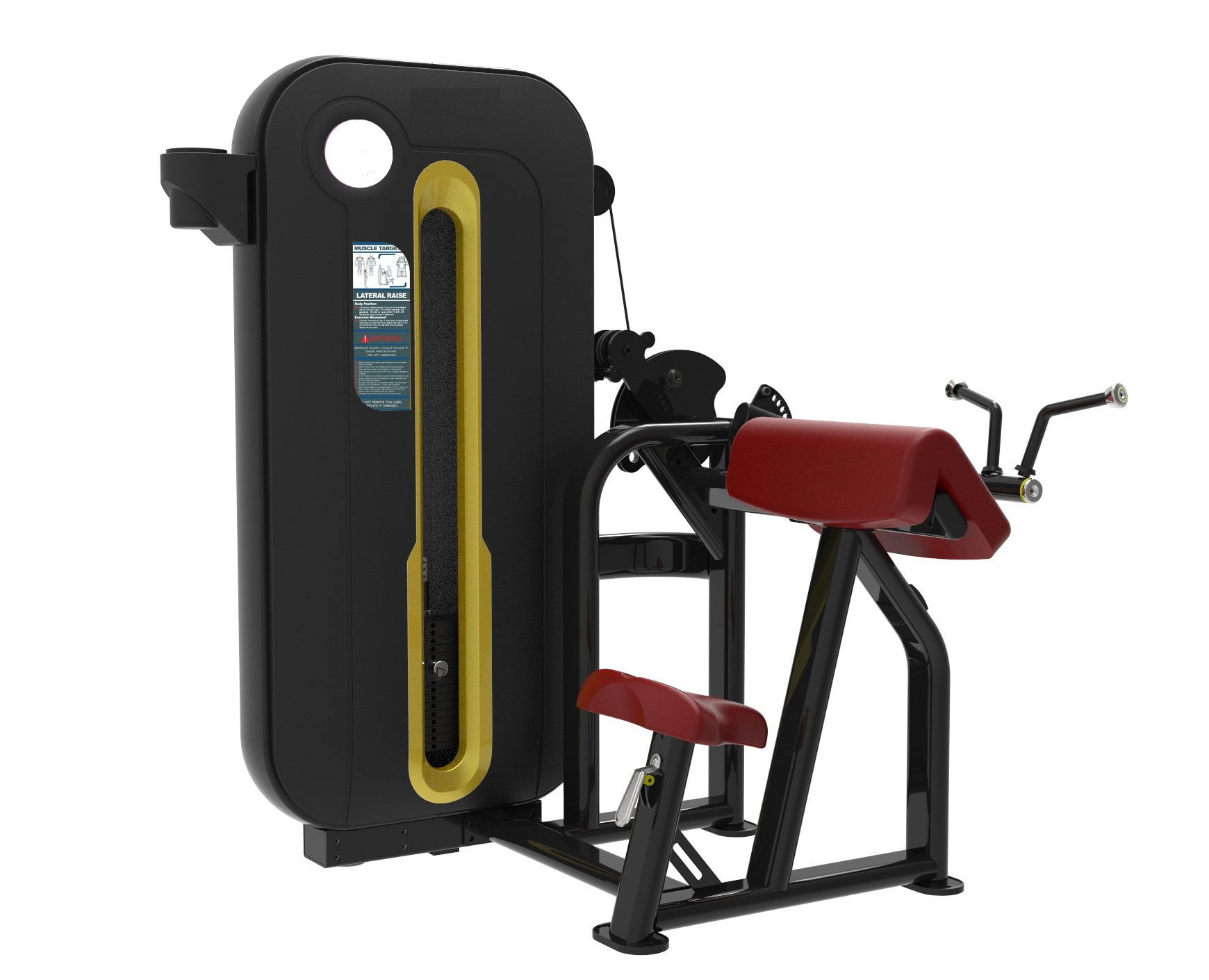 Biceps and Triceps Curl